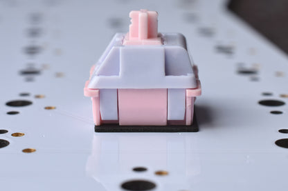 IXPE PCB Switch Pads